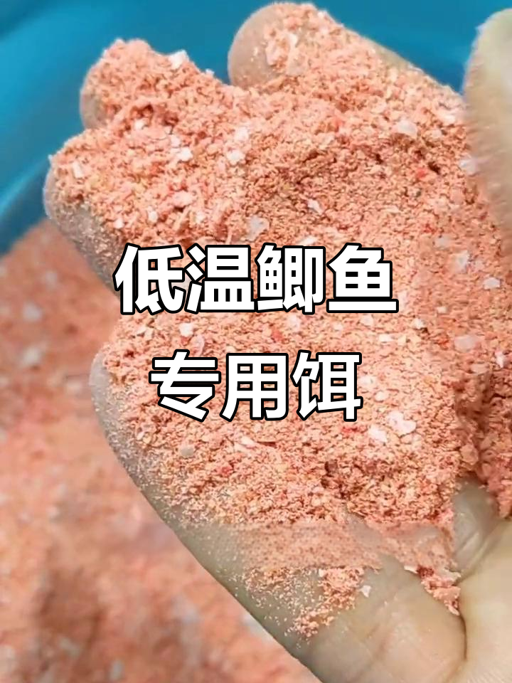 开好饵料(开好饵料能钓多久鱼)