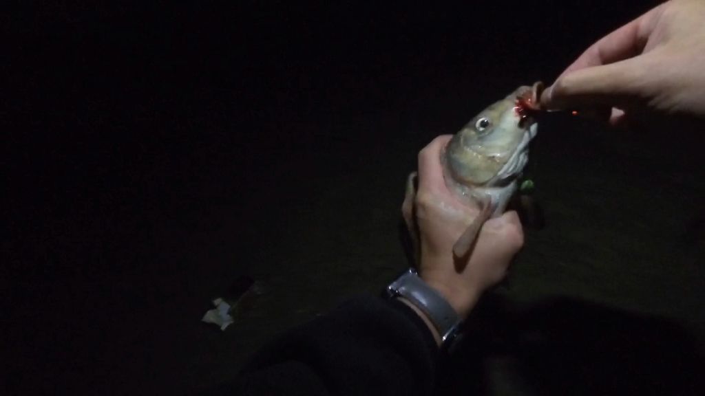 冬天南方水库钓鲤鱼技巧(冬季南方钓鲤鱼技巧)