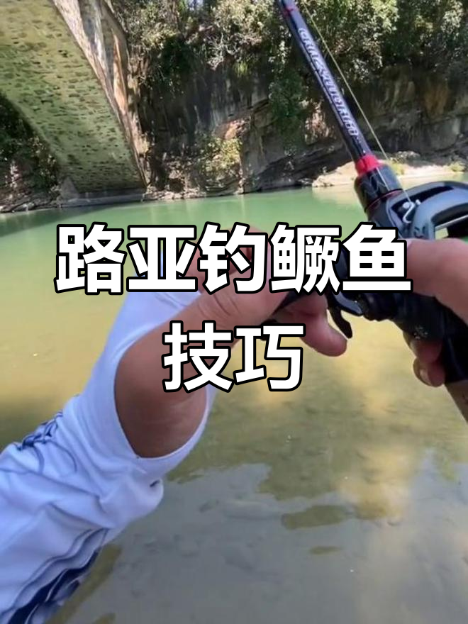 钓路亚的手法(怎么钓路亚视频教学)
