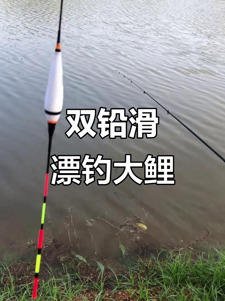 江里矶竿钓鱼技巧(矶竿钓鲤鱼视频)