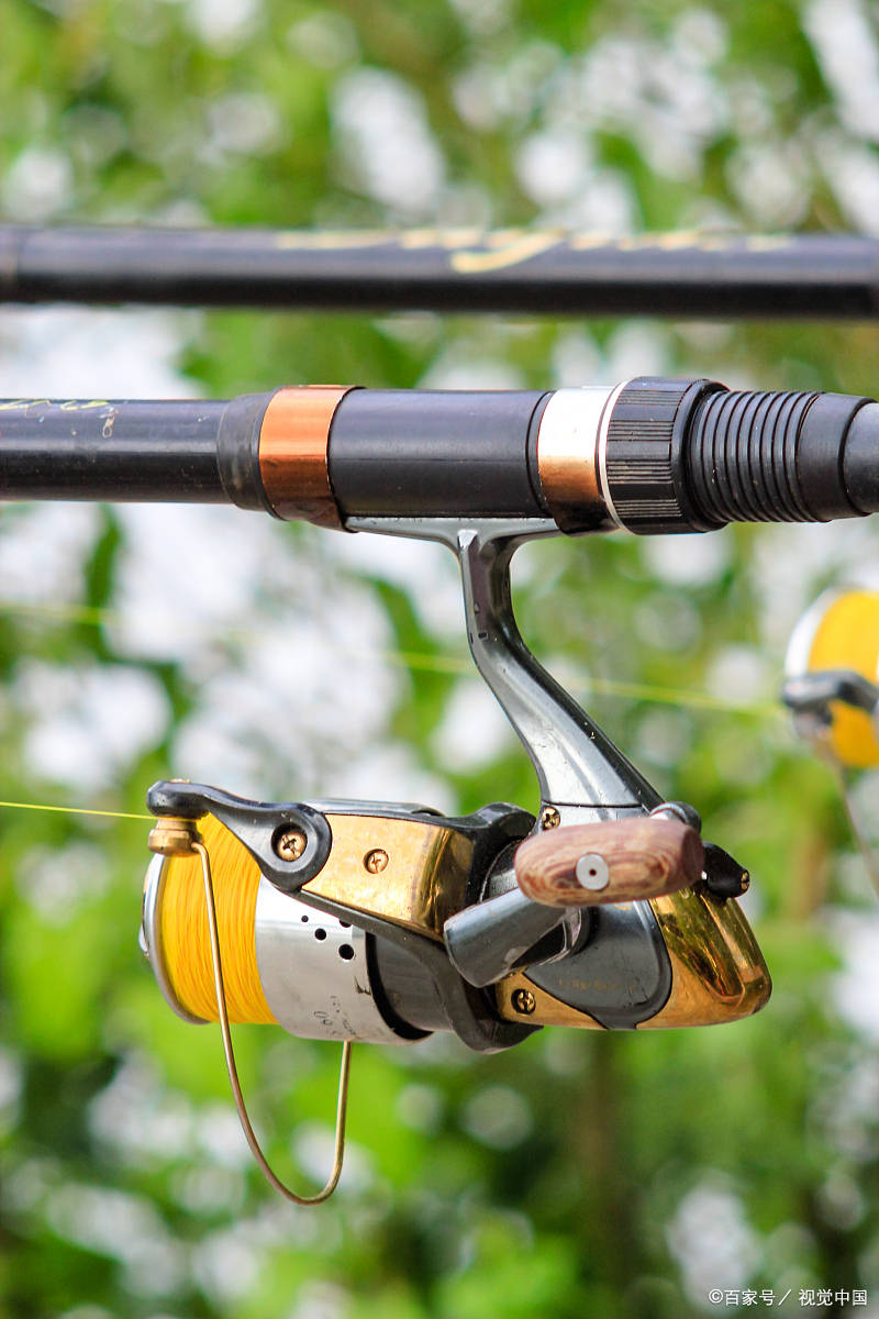 九月风渔具(九月风山风似刀打一动物)