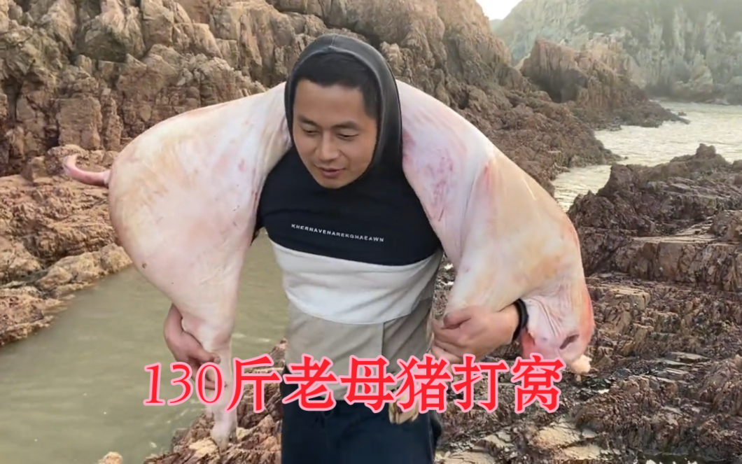 鱼饵料加母猪乳技巧(母猪乳钓鱼小药可以搭配腥饵)