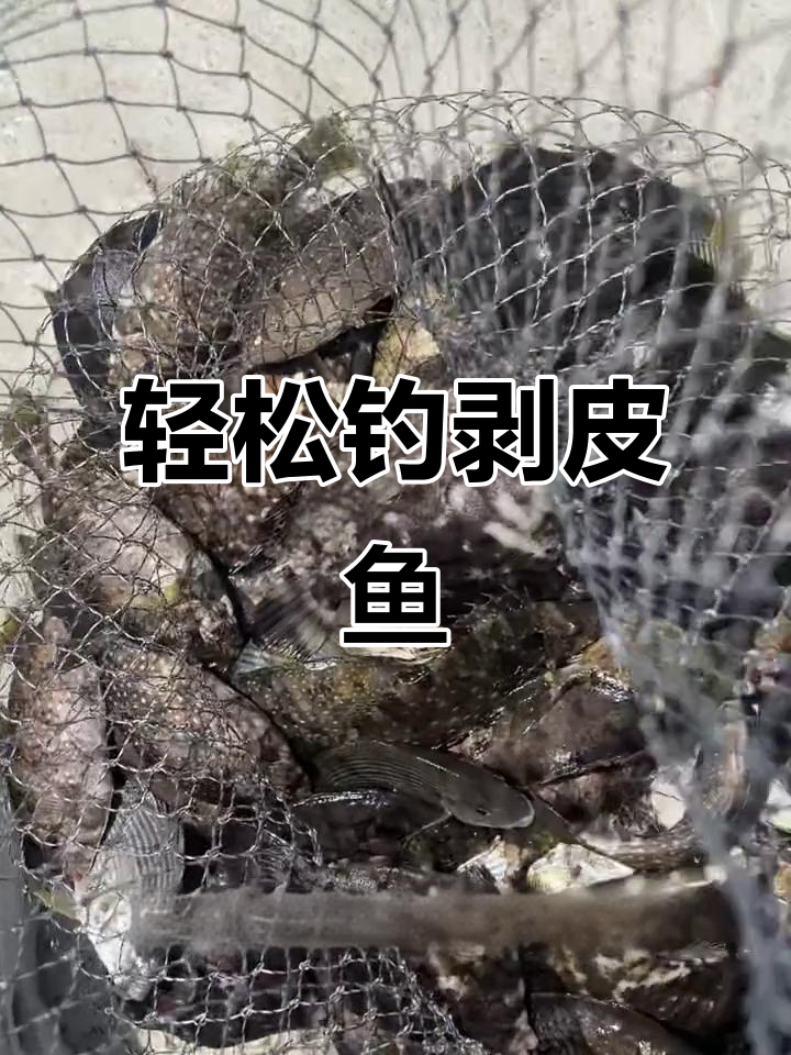 钓鱼鱼饵料自制(鱼饵 野钓自制)