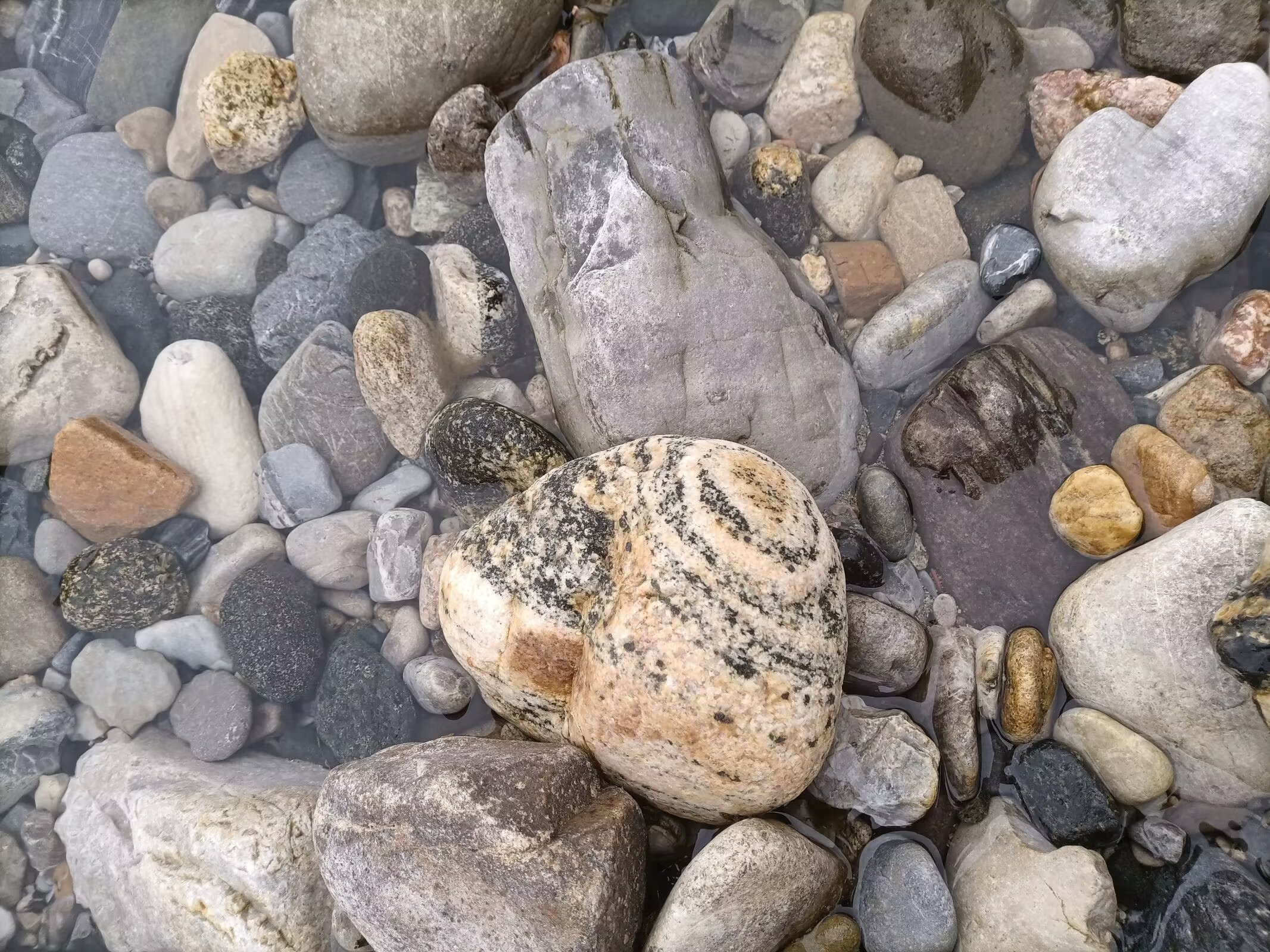 石头堆路亚(小石头路亚竿69rf)