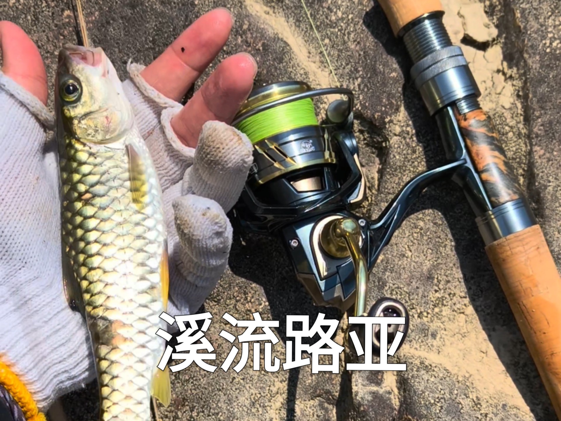 水坝路亚(水库路亚)