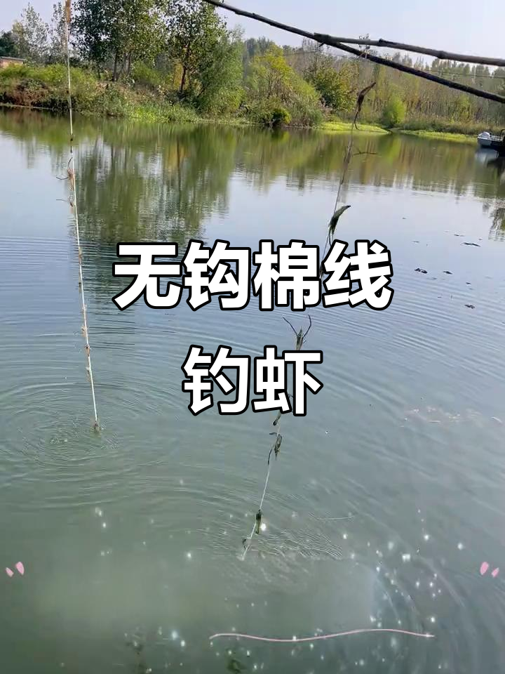 自制钓虾钩技巧(自制钓虾工具)