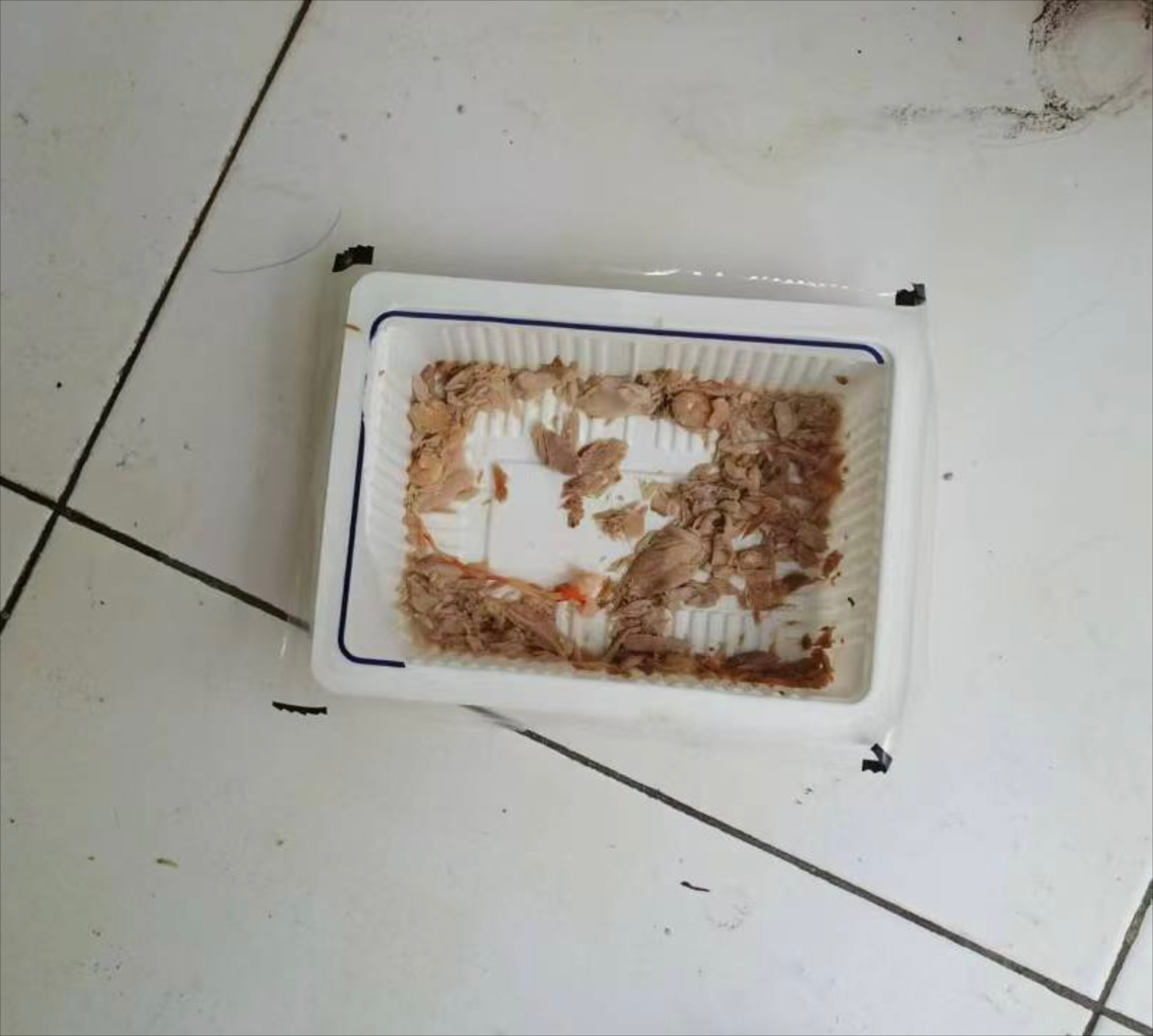 没用完的饵料(没用完的饵料可以放冰箱第二天用吗)