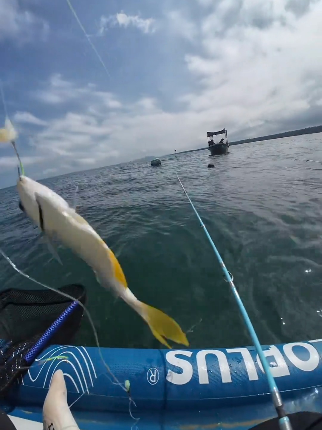 万泉河海钓(万泉河水清又清玖月奇迹)