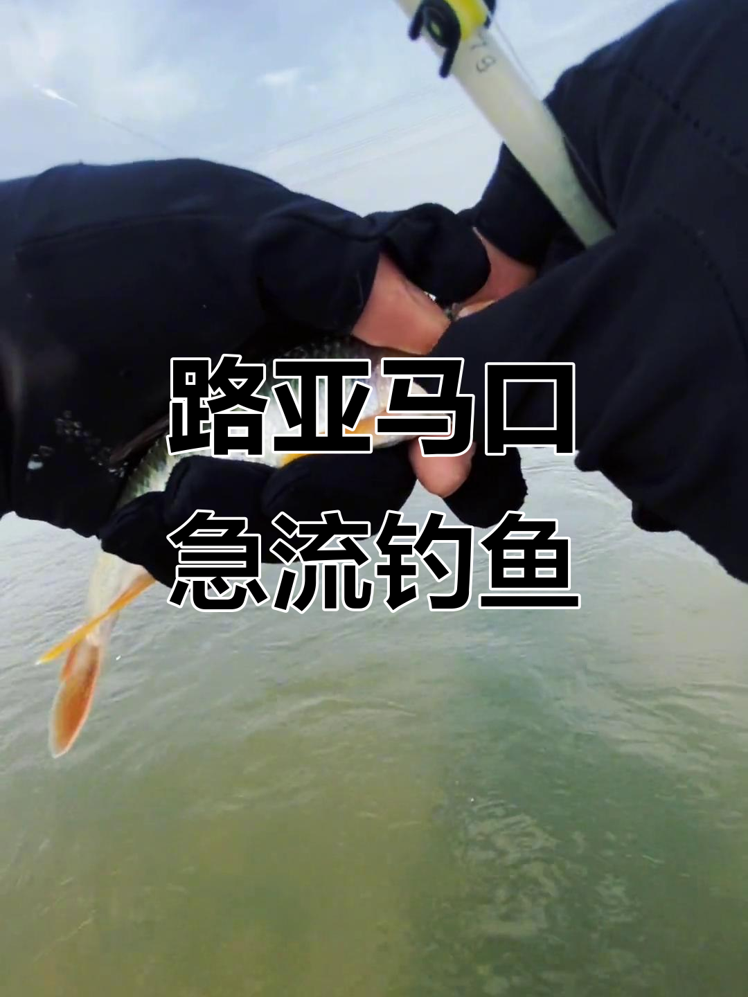急流技巧教学(急流野钓技巧)