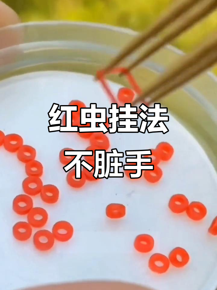 春天用红虫钓鱼技巧(红虫春季能钓什么鱼?)