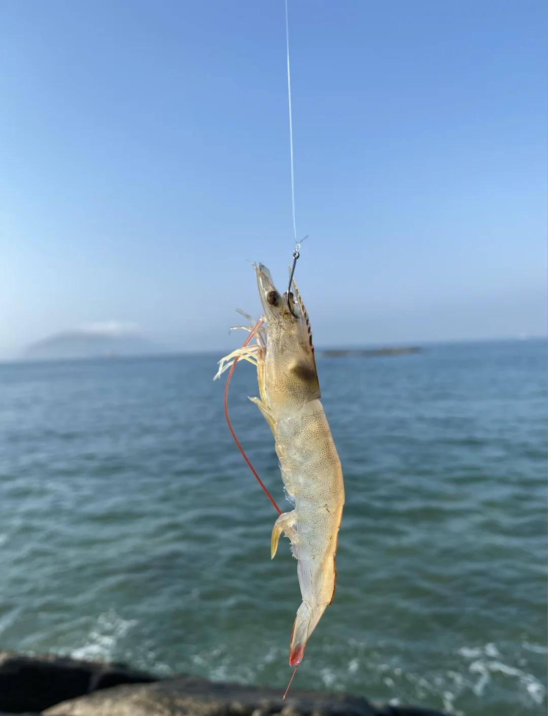 广州附近哪里海钓(广州附近哪里可以海钓)
