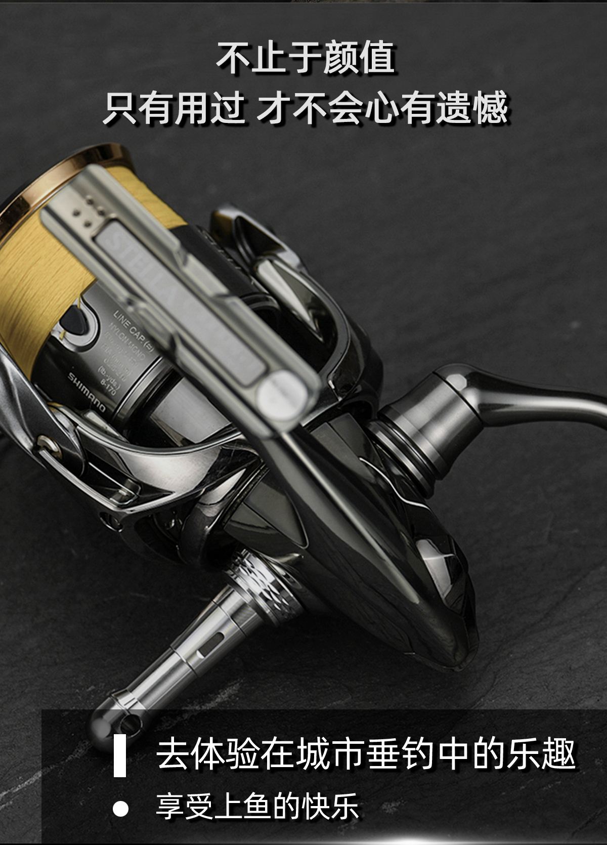 路亚轴(路亚轴承12B1RB)