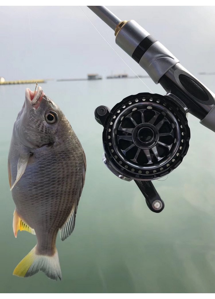 海钓筏竿diy(海钓筏竿线组图解)