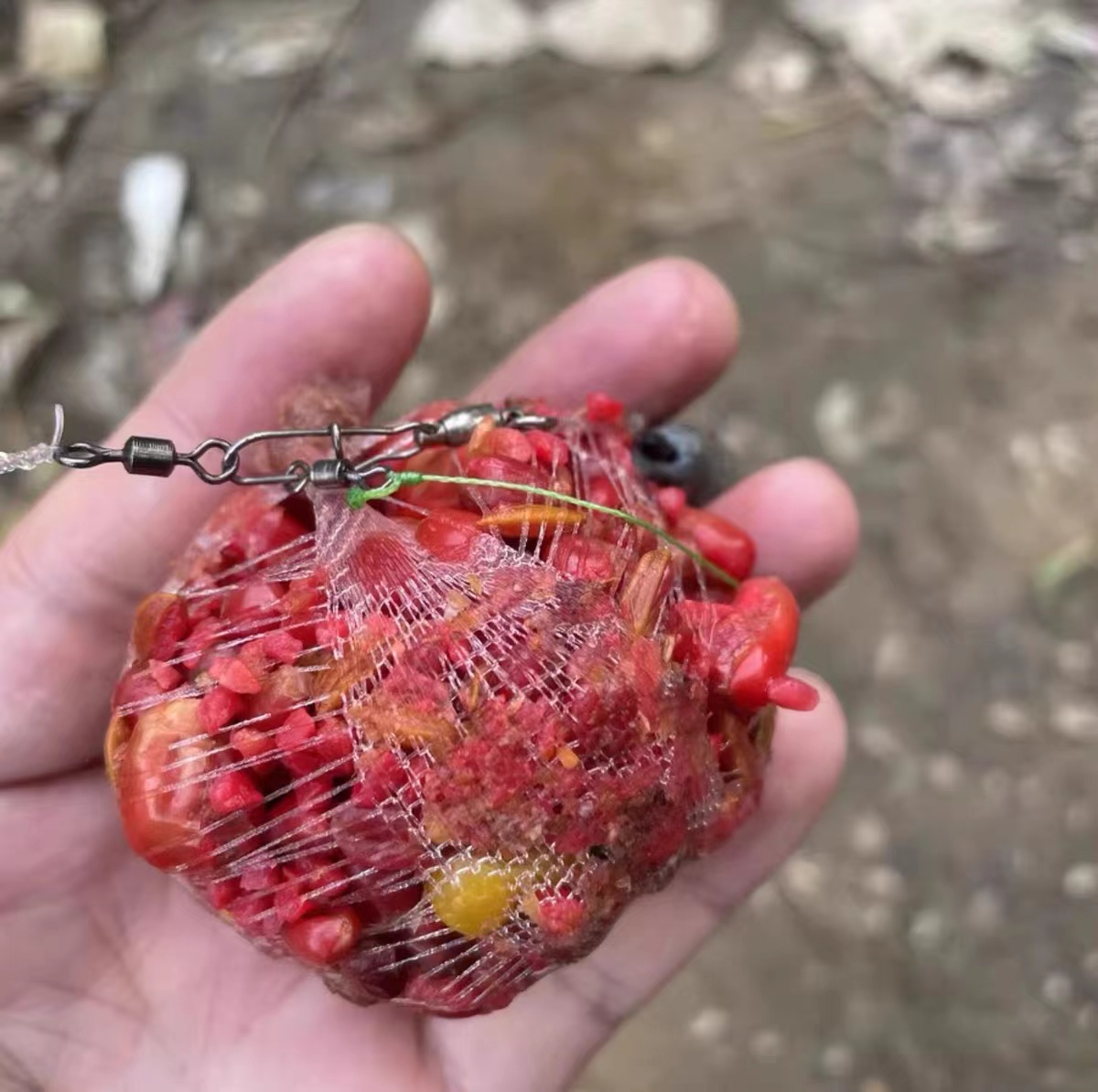 海钓梭鱼用什么打窝(海钓梭鱼用什么路亚饵)