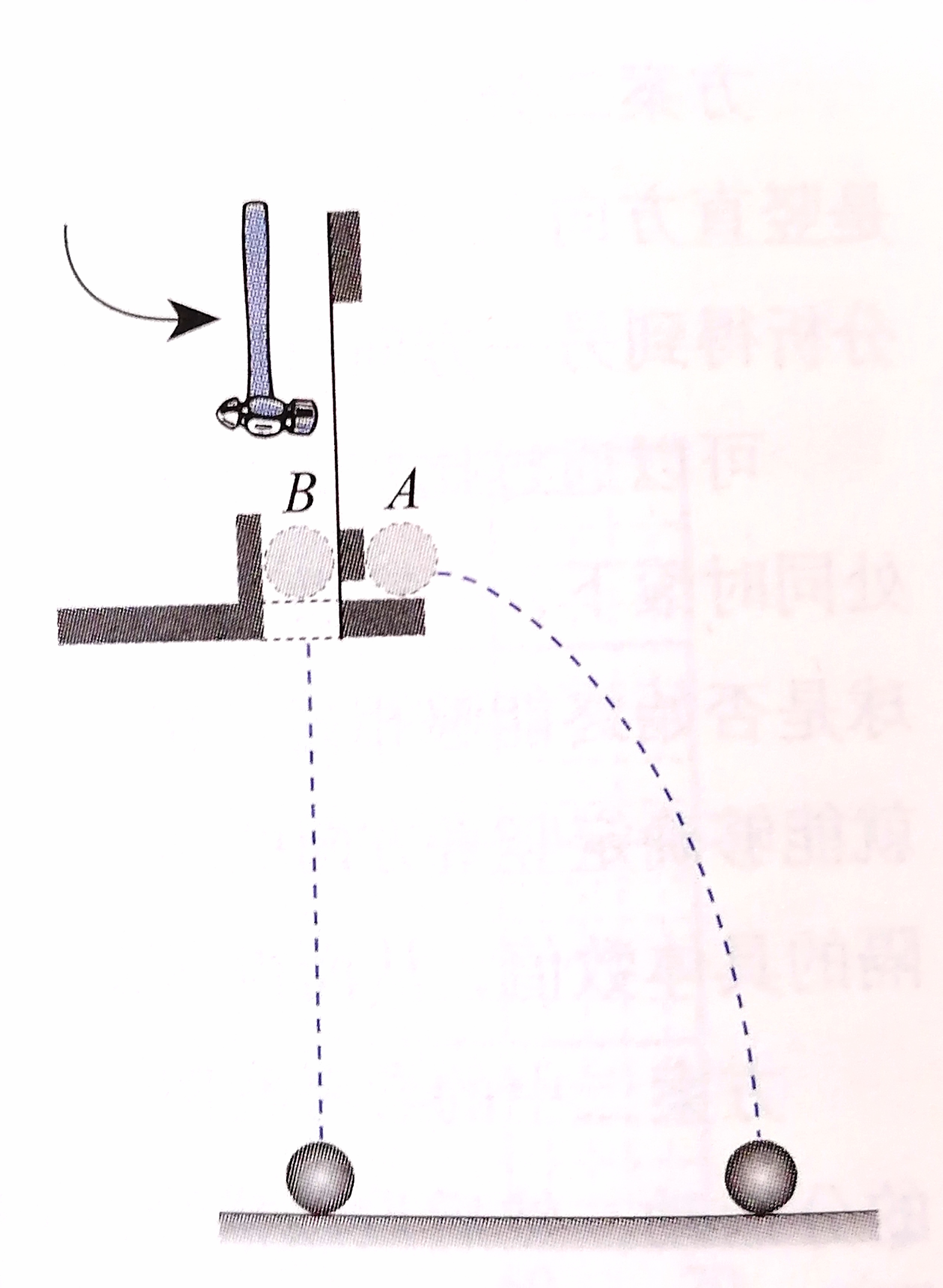 抛杆抛投技巧(抛竿抛投教学视频)