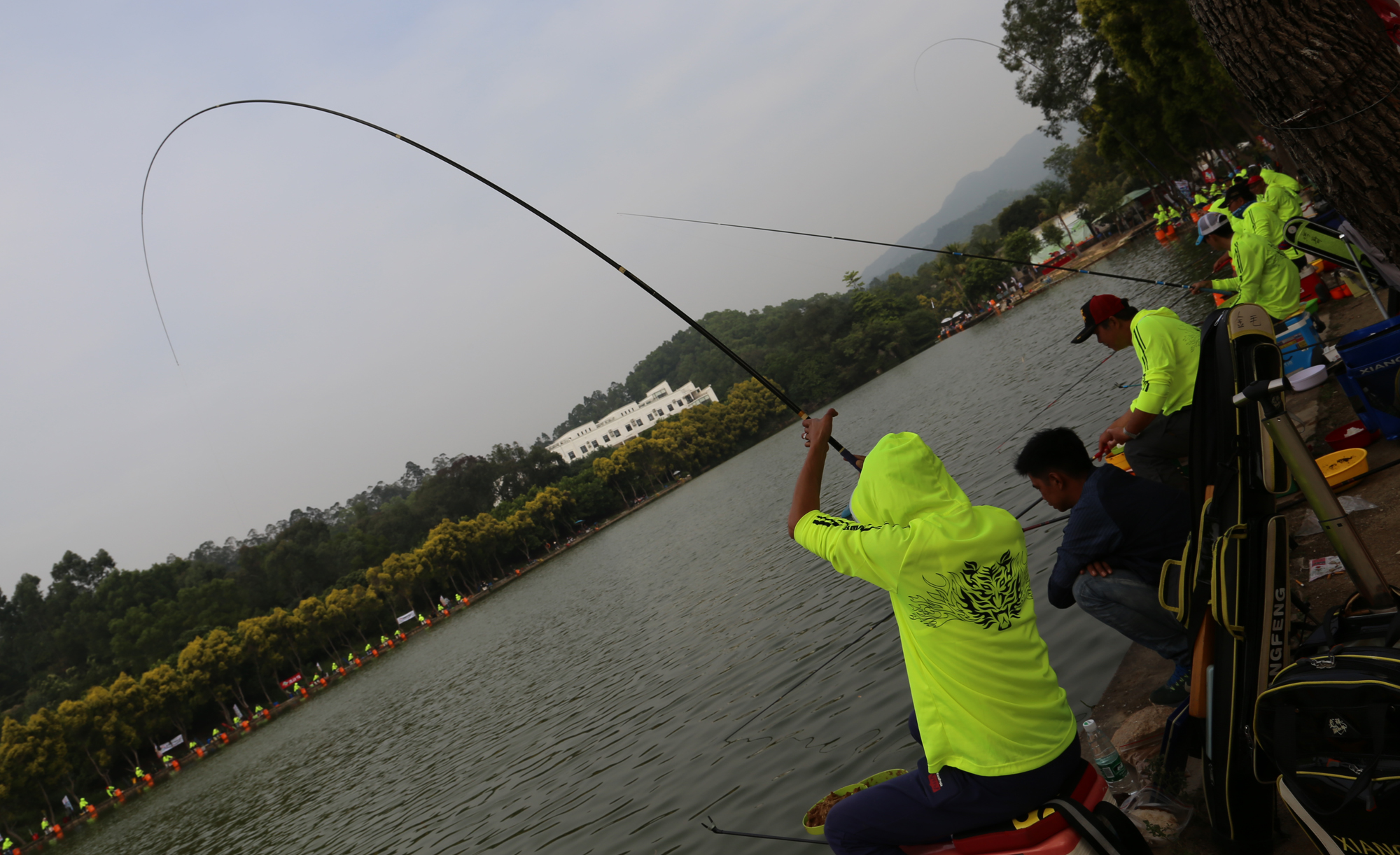 澄海钓鱼交流群(澄海鱼市在哪里)