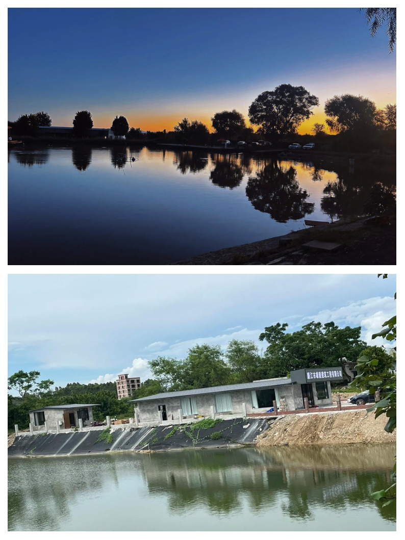 松江路亚钓场(松江路亚野钓地点)