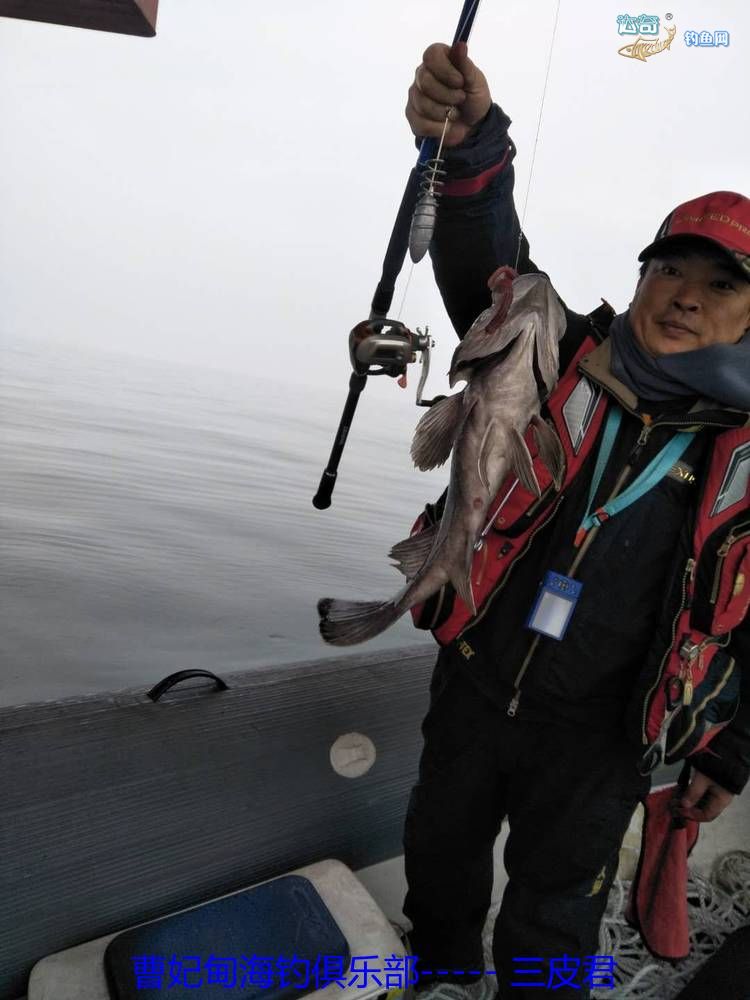 曹妃甸海钓路线(曹妃甸海钓2021)
