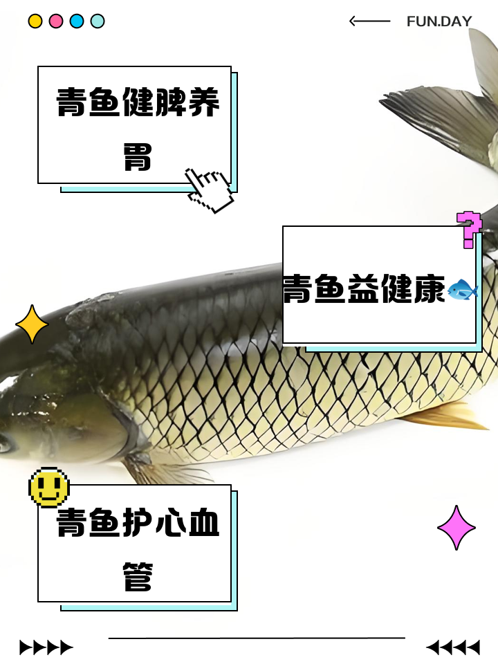 滑口青鱼技巧(滑口青鱼适合的钓法)