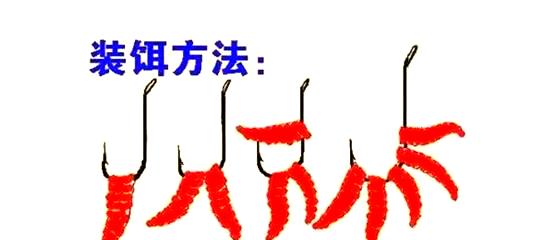 晚上红虫钓鱼技巧(晚上红虫钓鱼好不好)