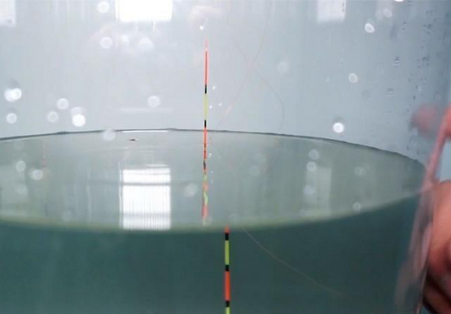 关于漂桶调漂技巧视频的信息