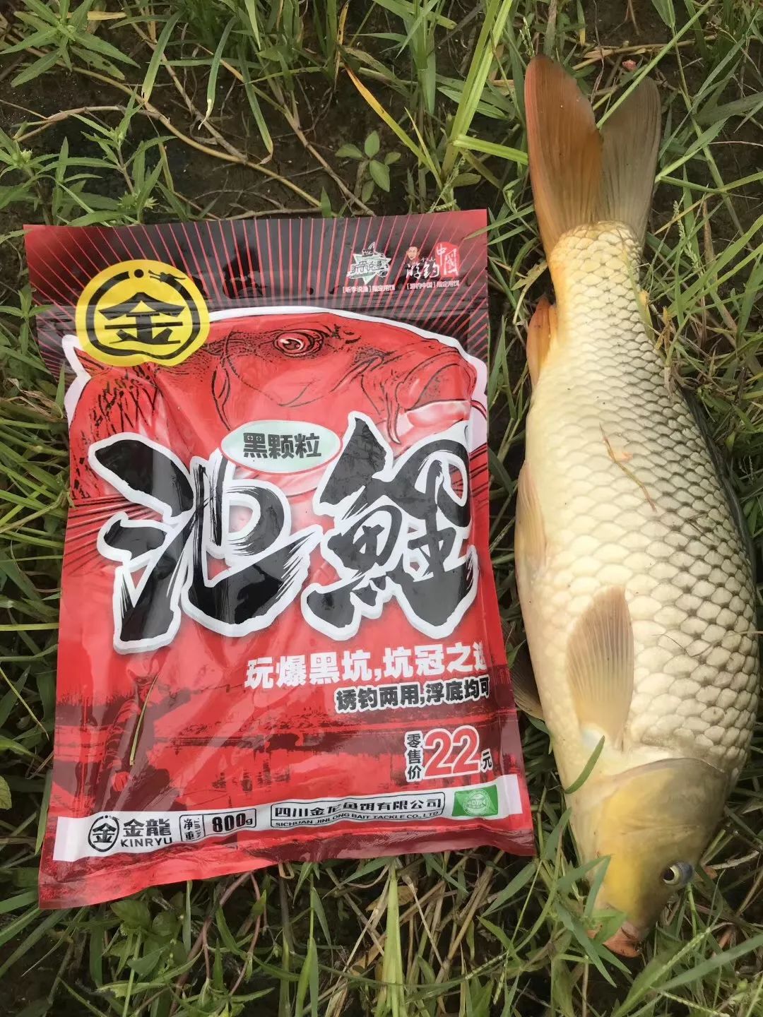 冬浓饵料配方(冬钓浓香饵效果好不好) 冬浓饵料配方(冬钓浓香饵效果好不好)