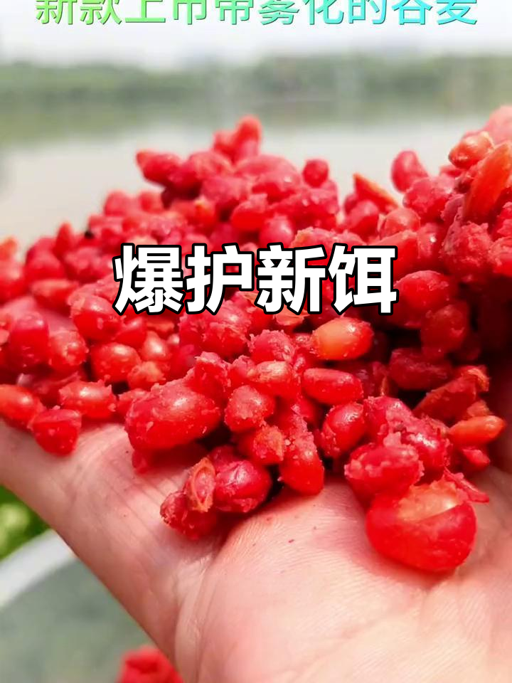 雾化饵料品牌(想要饵料雾化效果好用什么) 雾化饵料品牌(想要饵料雾化效果好用什么)