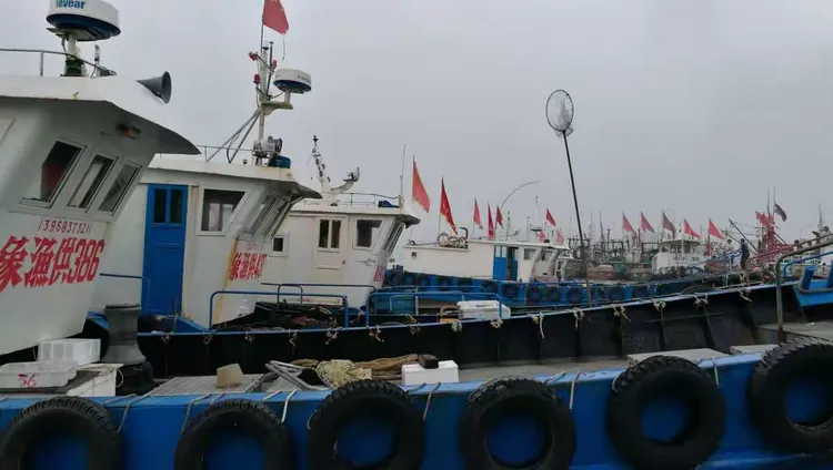 码头海钓白果子(码头海钓白果子怎么钓)