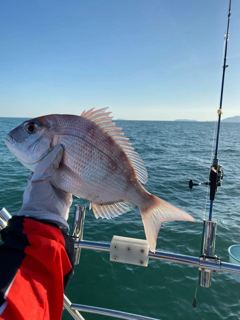 莱州深海钓鱼(出海钓鱼船多少钱一艘)
