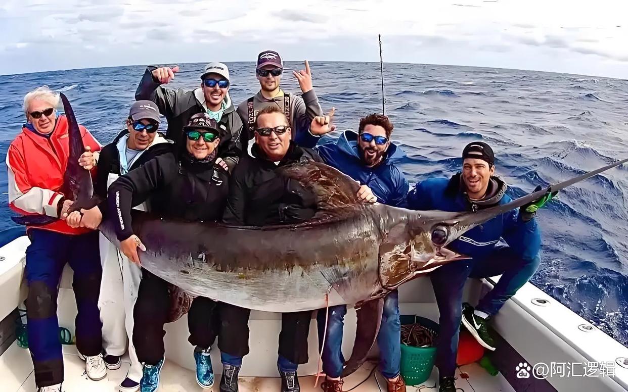 海钓产业(海钓产业面临法律风险的解决方案)
