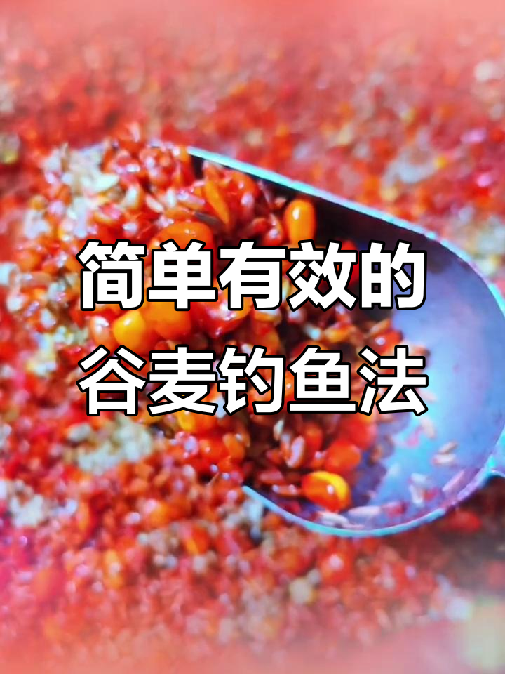 谷麦垂钓技巧(谷麦垂钓技巧视频教程)