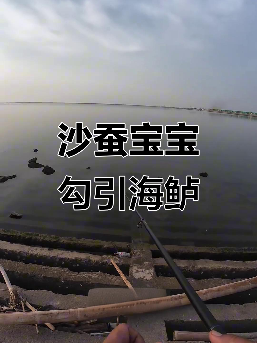 沙蚕海钓技巧(海钓用的沙蚕怎样上钩)