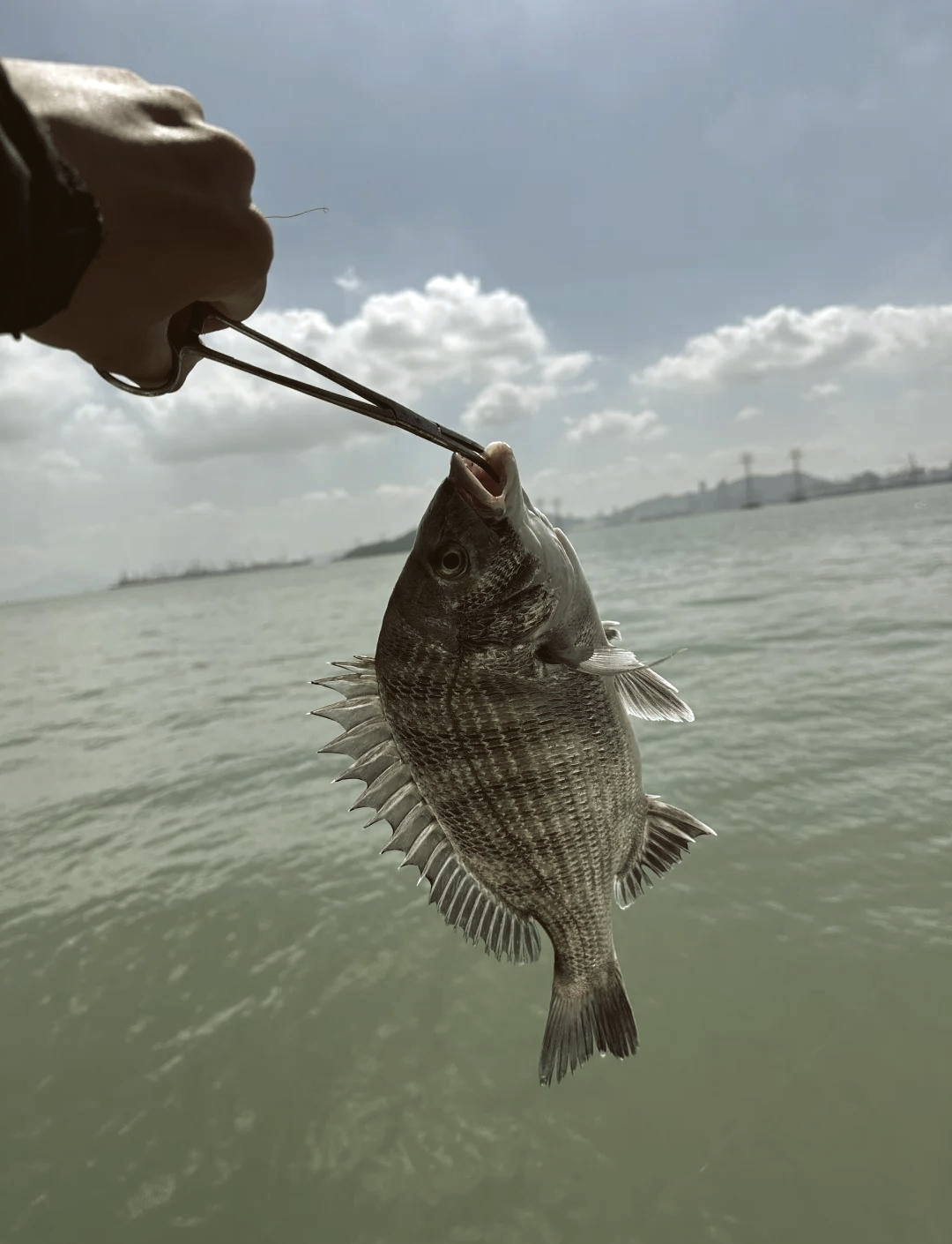 大潮小潮海钓(大潮钓鱼好钓吗)