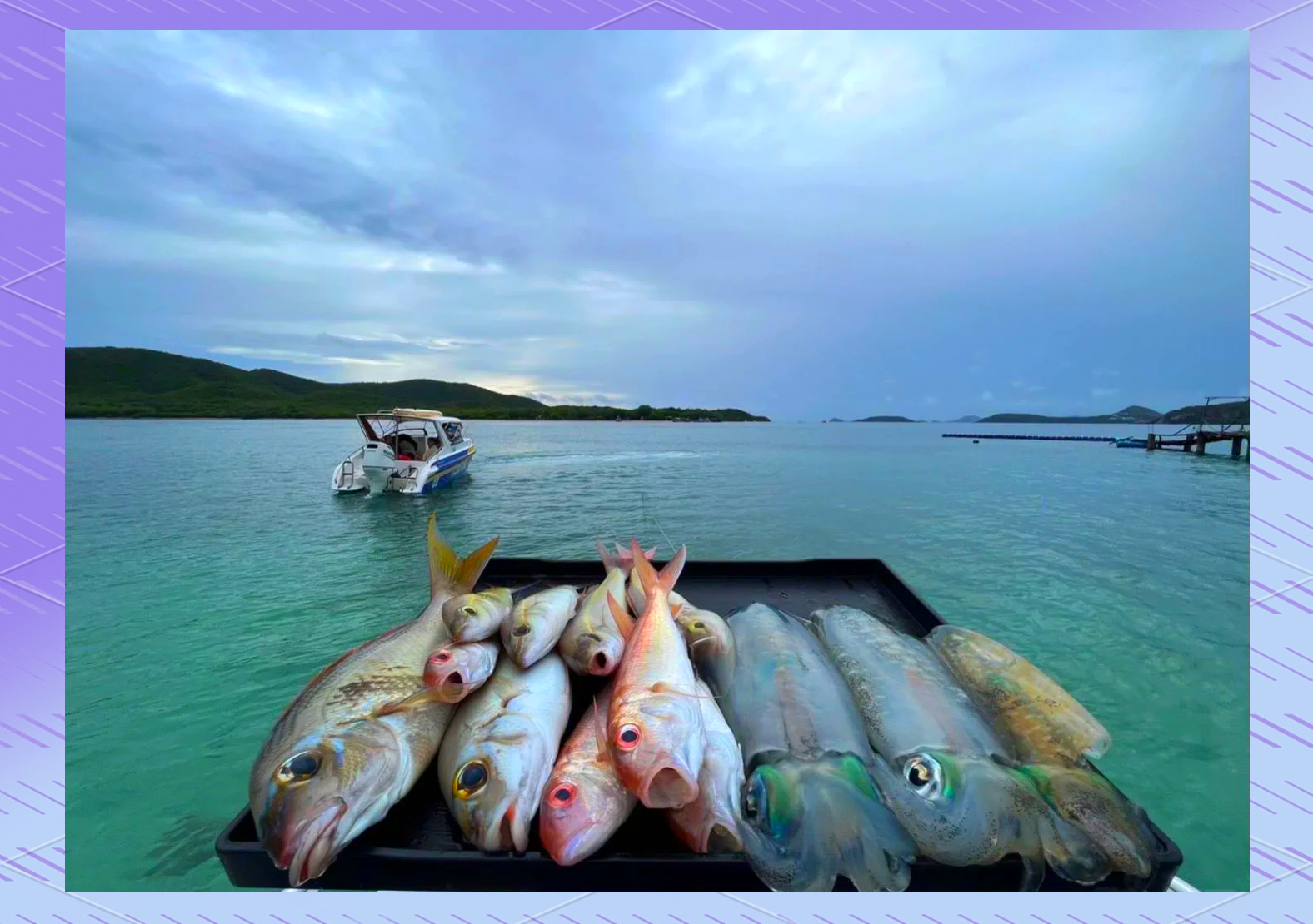 响水海域可以海钓吗(15米海钓船多少钱一艘)