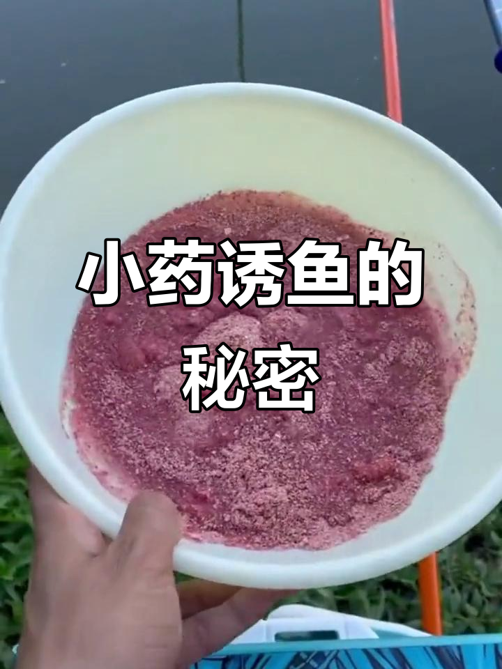 钓鱼用小药技巧(钓鱼用小药技巧有哪些)
