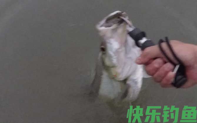 手竿冬钓翘嘴技巧(手竿冬钓翘嘴技巧视频) 手竿冬钓翘嘴技巧(手竿冬钓翘嘴技巧视频)