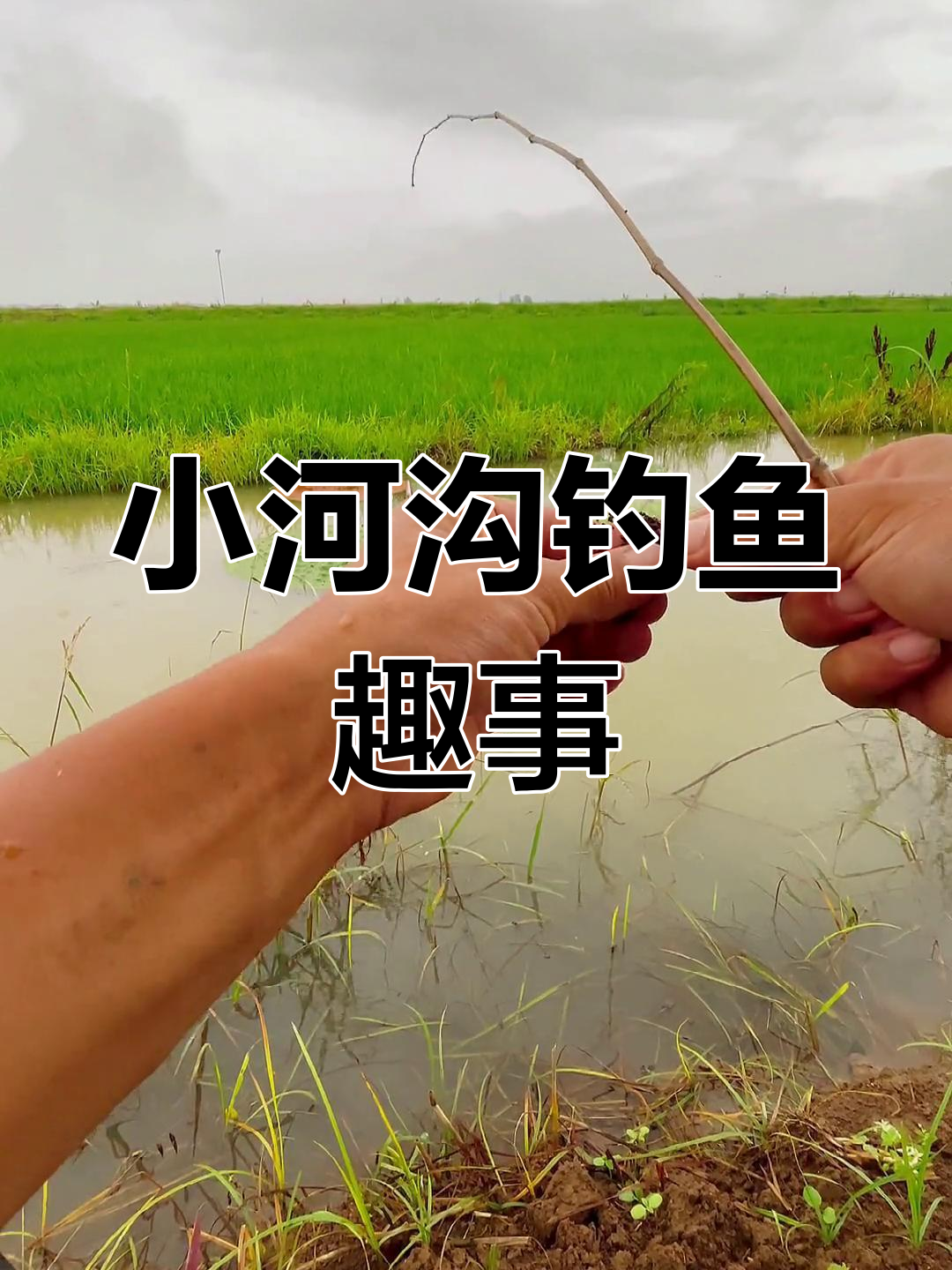 下雨天钓鲫鱼技巧(下雨天野钓鲫鱼)