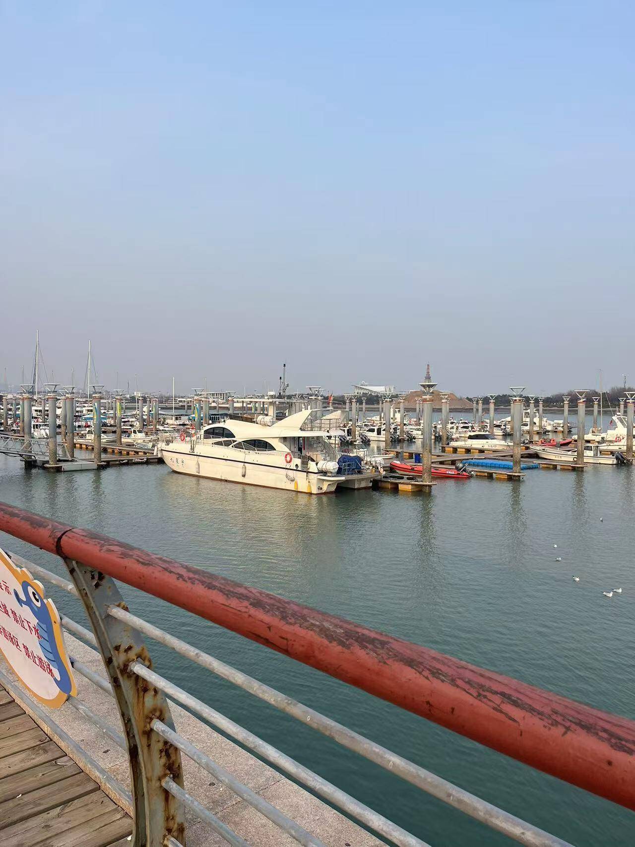 日照适合海钓的地方(日照海边哪里钓鱼好)