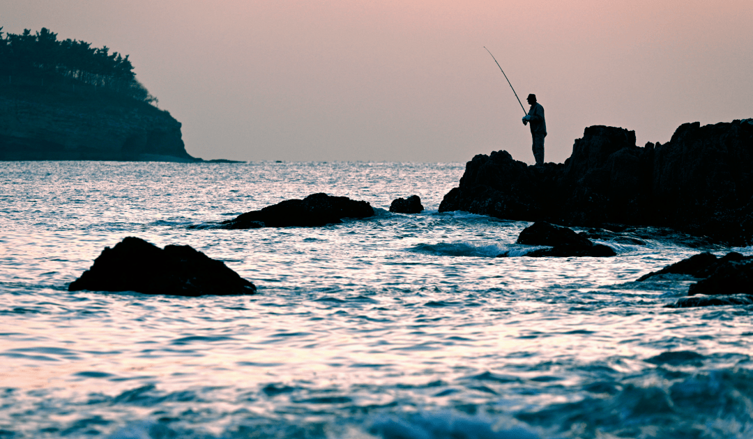 海钓黑鲷浮游矶钓(矶钓黑鲷教学视频)