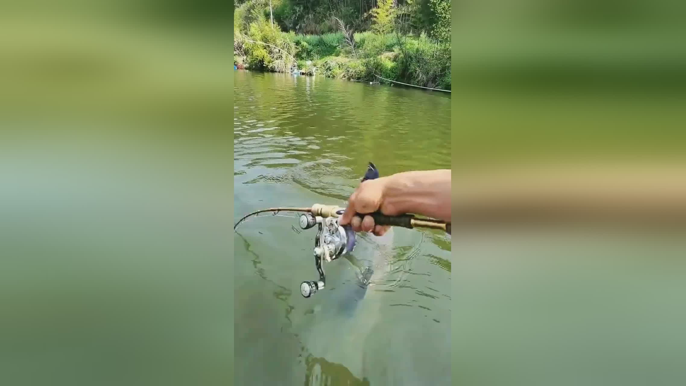 大鱼板技巧教学视频(大鱼板玩法)