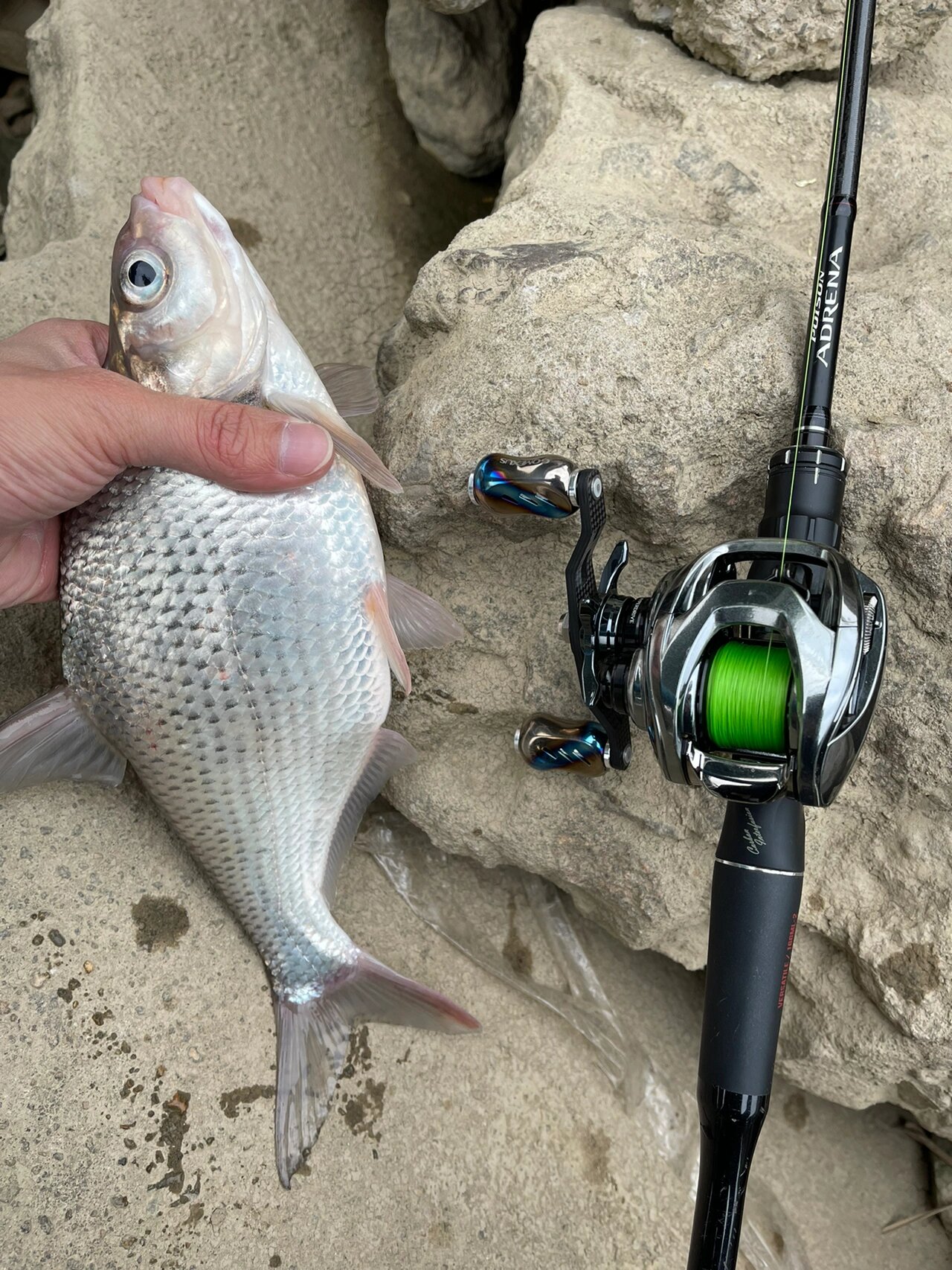 秭归钓路亚(宜昌路亚钓场)