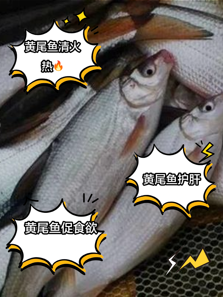 黄尾鱼钓鱼技巧(黄尾鱼怎么钓浮还是钓底)