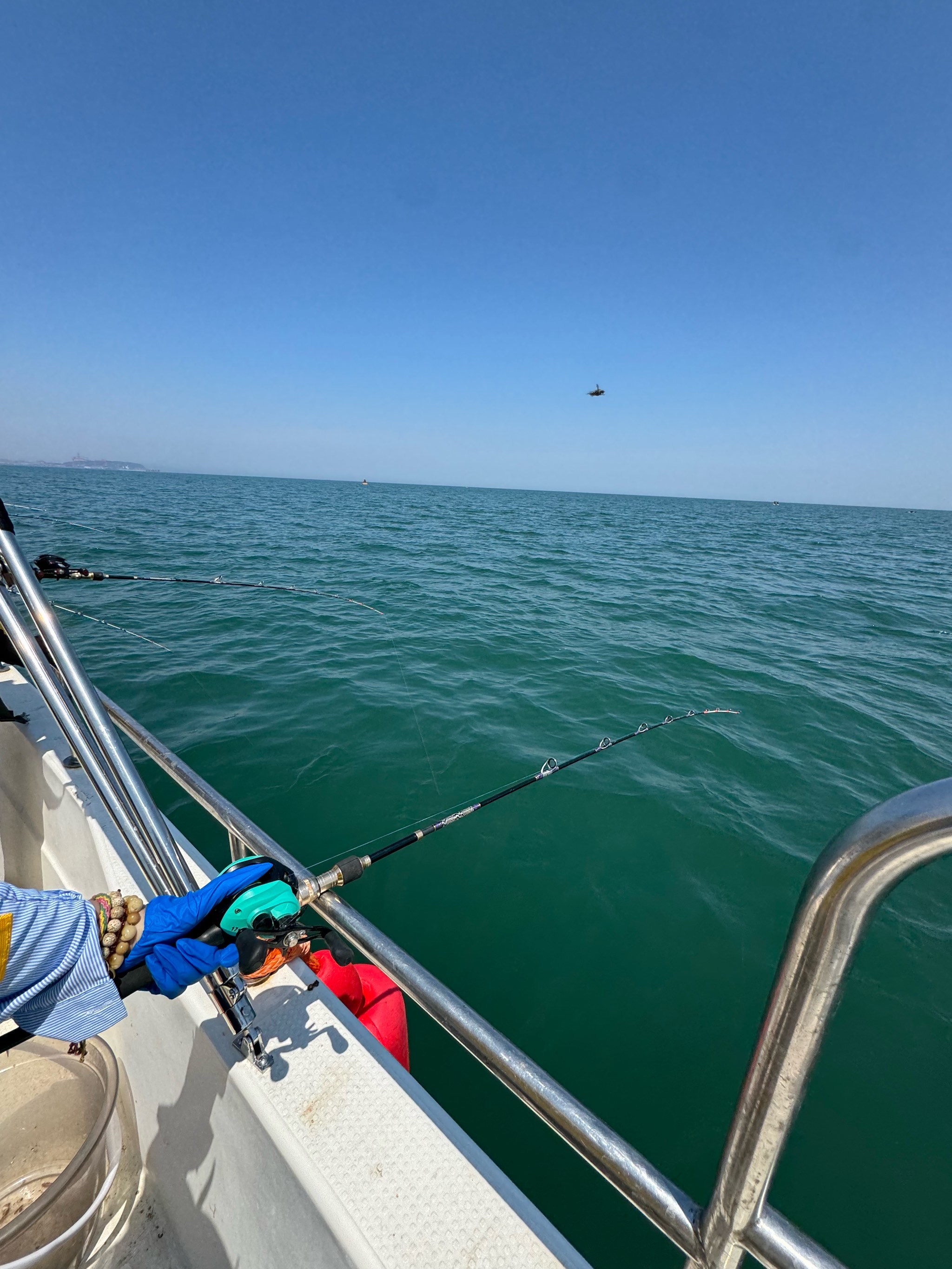 大连原岛海钓(大连岸边海钓地方)