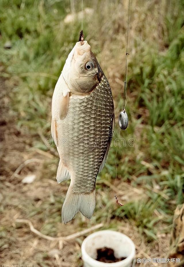 大太阳天钓鱼技巧(大太阳如何钓鱼)