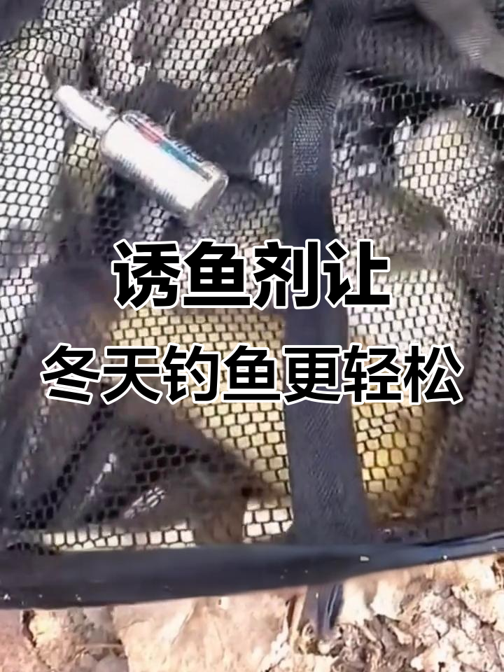 初冬钓鱼饵料(初冬钓鱼饵料好还是蚯蚓好)