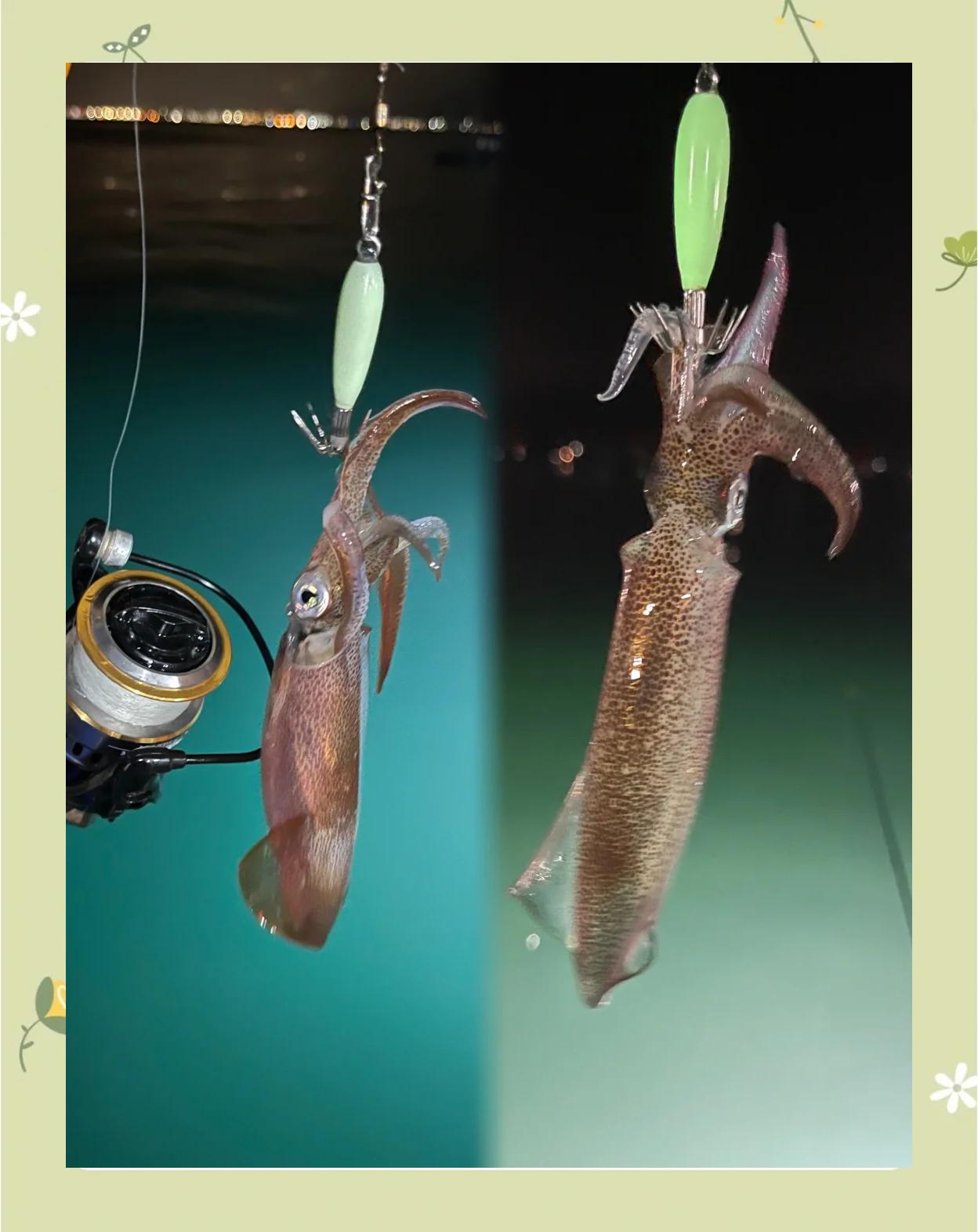 钓鱿鱼灯光技巧(钓鱿鱼水下灯)