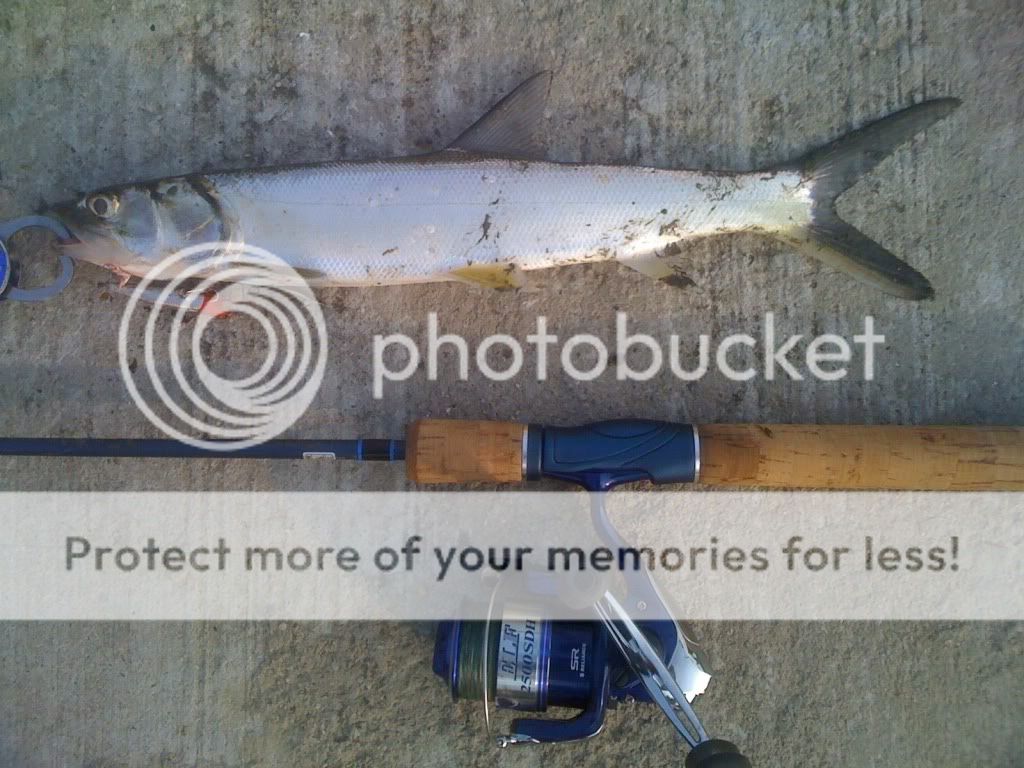 烂肉梭路亚(乱石路亚鳜鱼的方法)