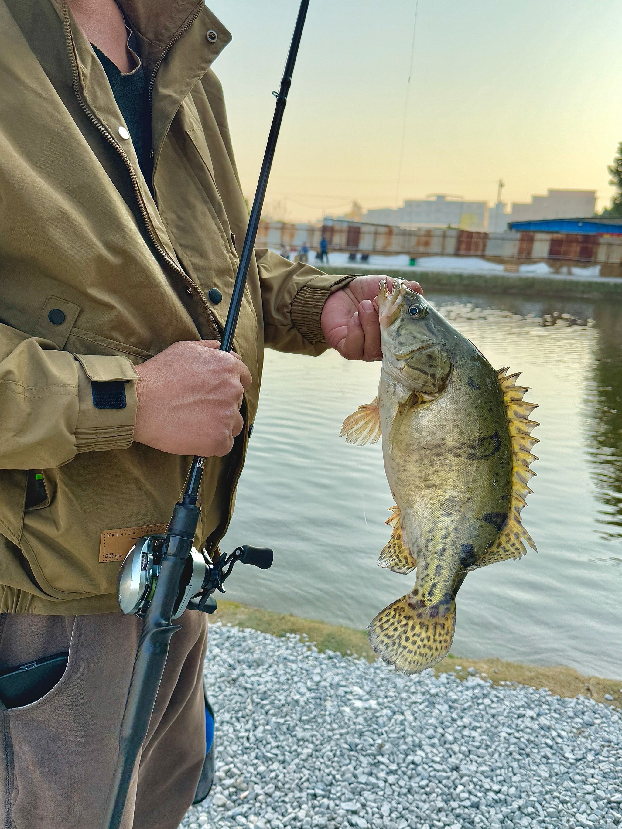 岸钓路亚海钓(岸边海钓路亚教学视频)