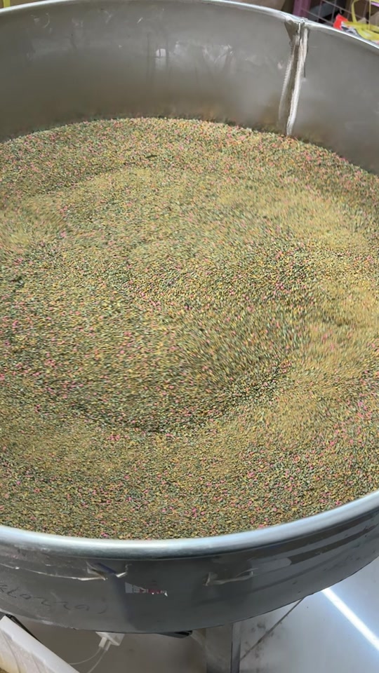 丸九饵料别真假(丸九饵料怎么看真假)