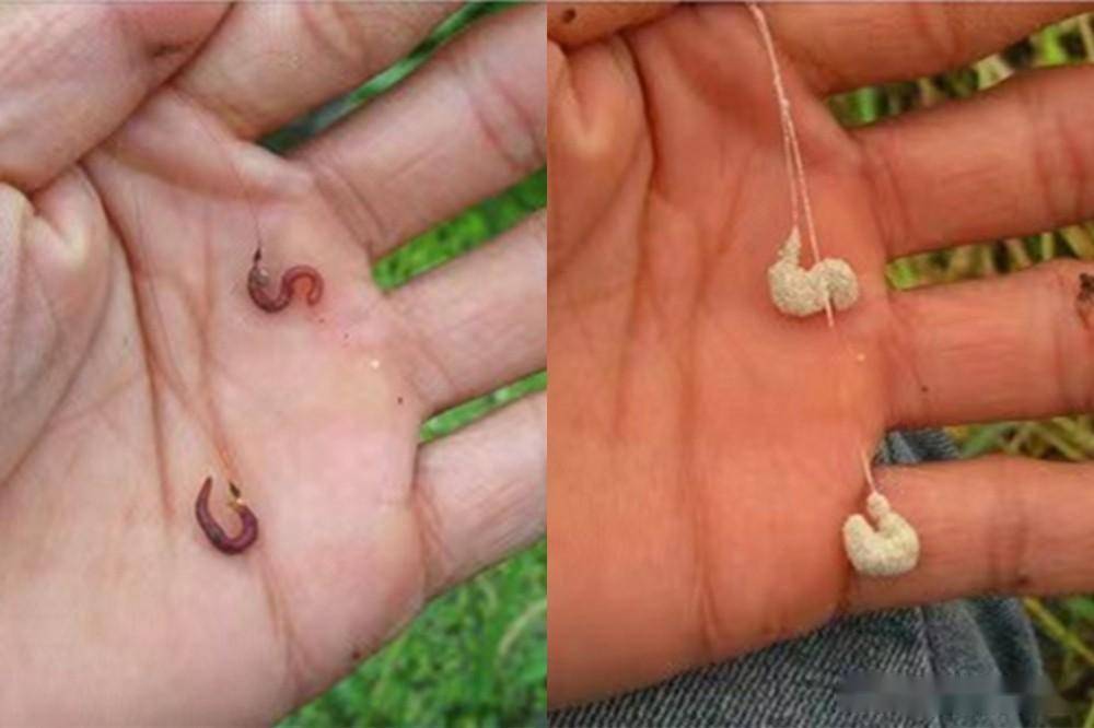 甩竿饵料掉(鱼饵抛竿就掉)